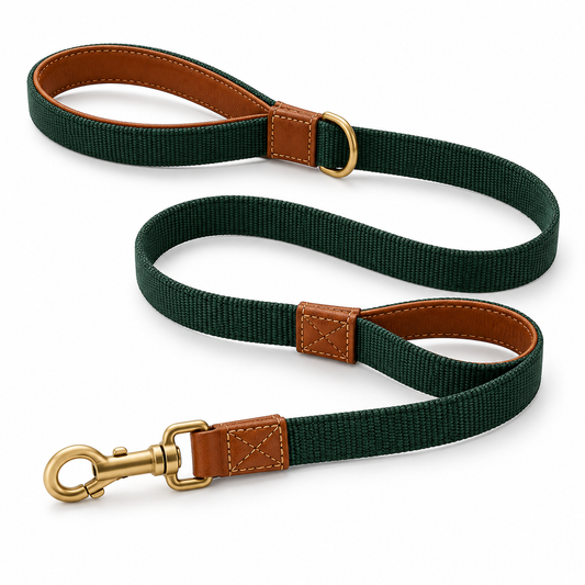 Kindwellia Forest Green Dual-Handle Pet Leash with Brown Trim and Gold-Tone Hardware