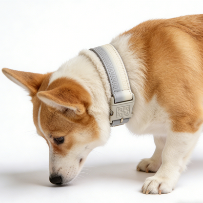 The "Hera Comfort" | Gradient Leather Collar with Plush Fleece Lining